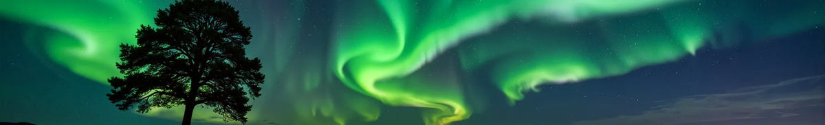 How to Photograph the Northern Lights