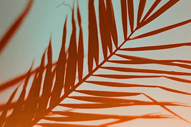 Analogue photography buying guide