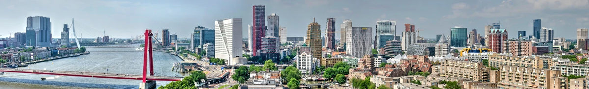 Skyline of Rotterdam