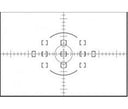 Nikon M vetro smerigliato per F6