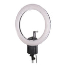 Lampada ad anello Falcon Eyes FLC-65 65W + TMB-19Z