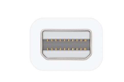 Apple Thunderbolt naar FireWire Adapter (MD464 ZM/A)