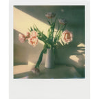 Impossible I-1 Camera