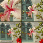 Hoya 72mm Close-Up Set (+1,+2,+4) II HMC