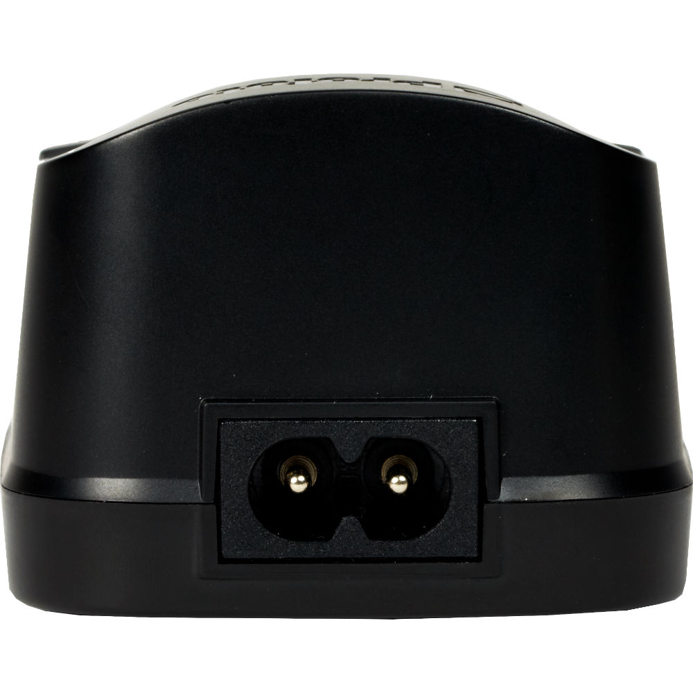 Profoto 100398 A-series Caricabatterie (Per 2S1P)