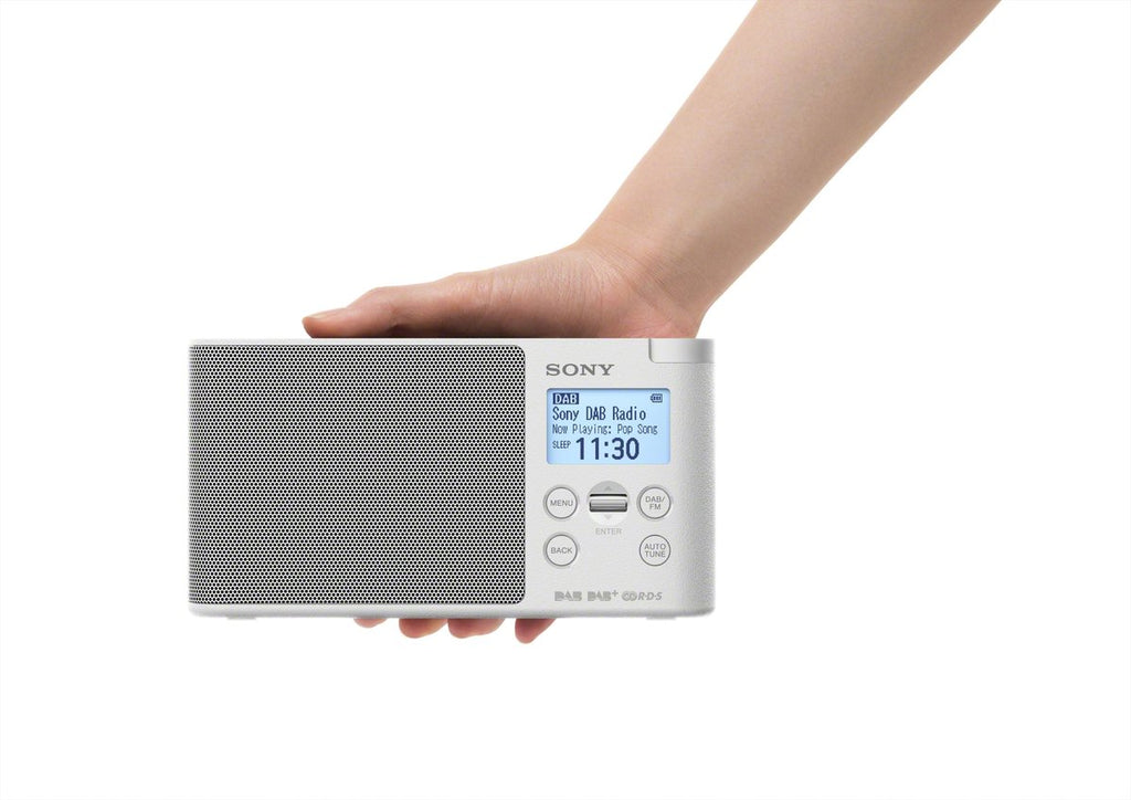Sony XDRS41 White