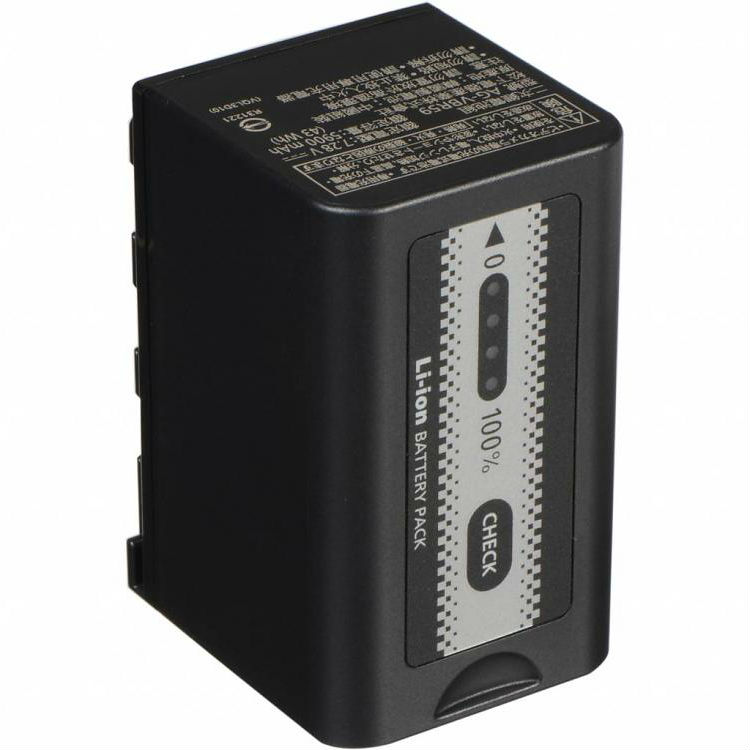 Panasonic AG-VBR59E Batteria