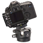Leofoto LH-55 + QP-70 Ballhead