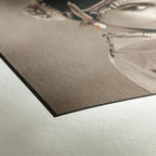 Hahnemühle Photo Rag 308gsm A3 25 sheets