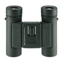 Eschenbach sector F 10x25 B