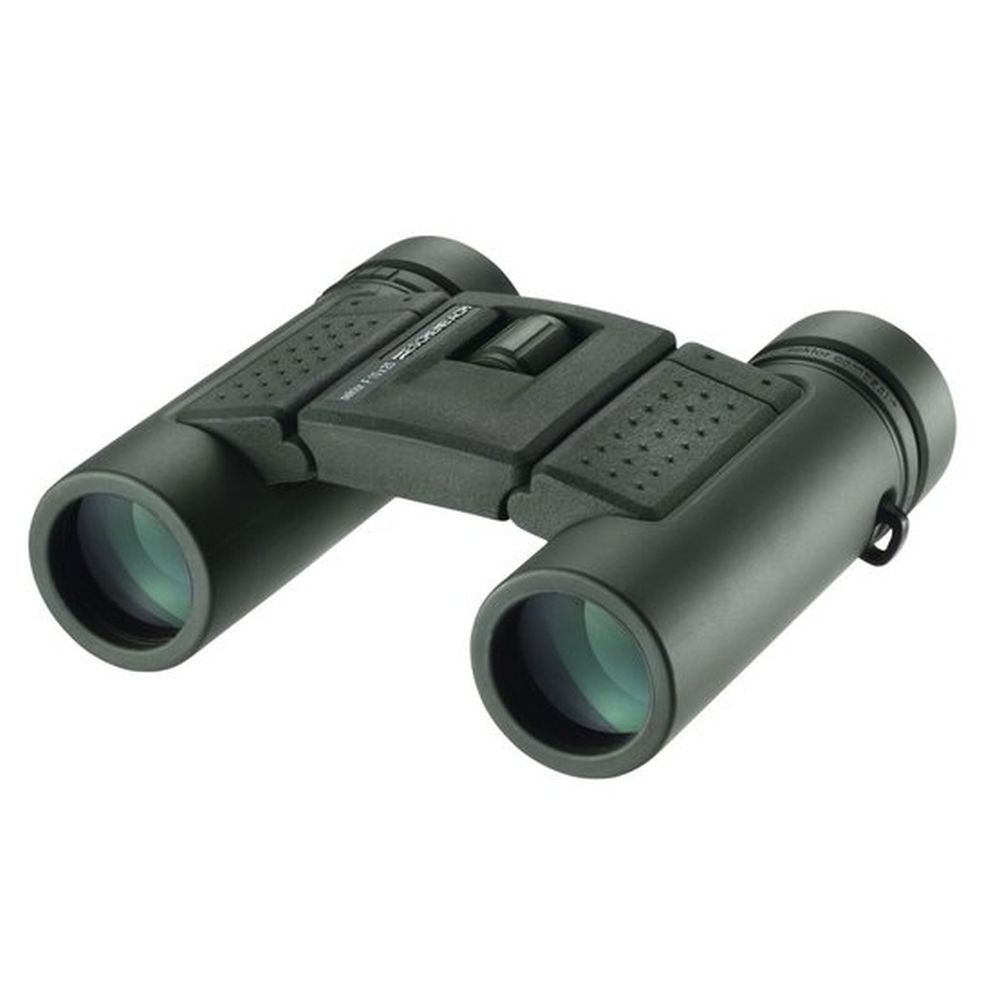 Eschenbach sector F 10x25 B