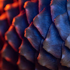 Adaptalux Lighting Arm - Blue