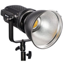 Lampada COB Bicolore Bresser BR-D1200BL