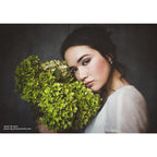 Lensbaby Composer pro II Nikon Z con dolce 35