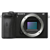 Sony A6600 body