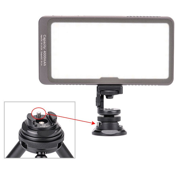 Sunwayfoto Piastra a sgancio rapido Cold Shoe CB-02