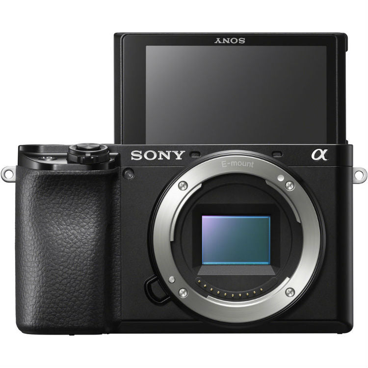 Sony A6100 + 18-135mm f/3.5-5.6 OSS