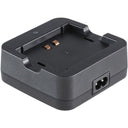 Caricabatterie Jinbei HD-2 Pro