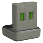 GP M451 + 4x ReCyko AA 2600mAh + docking station