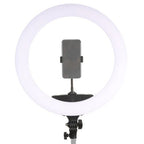 StudioKing LED Lampada ad anello Set 65W LR-650