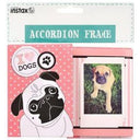 Cane con cornice per fisarmonica Fujifilm Instax