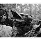 CineStill BWxx (doppia X negativa) 120