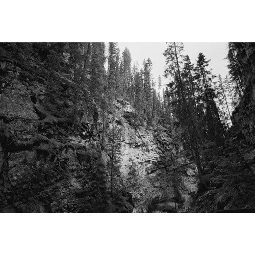 Cinestill DF96 Monobath Polvere