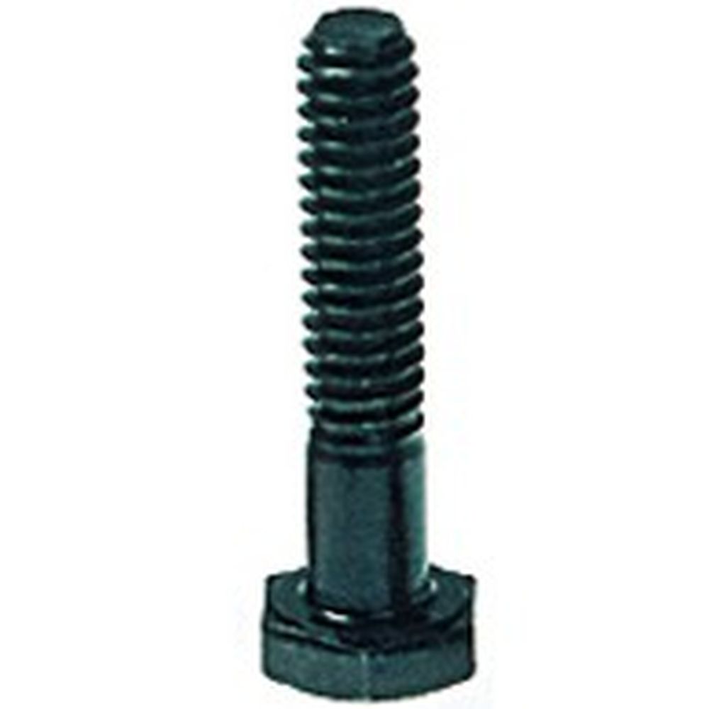 B.I.G. Vite 1/4" 31mm