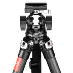 Sunwayfoto Testa a due vie con morsetto e piastra QR DT-03