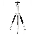 Treppiede in carbonio Benro Roadtrip Pro argento
