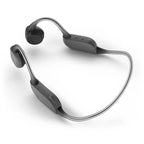 Philips TAA6606 - draadloze Bluetooth sportkoptelefoon