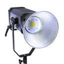Falcon Eyes Lampada LED bicolore dimmerabile DSL-300TD a 230V