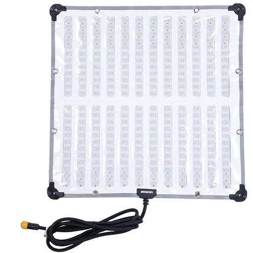 Amaran F22x (EU)