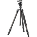 Bresser BR-2504X8C-B1 Carbon