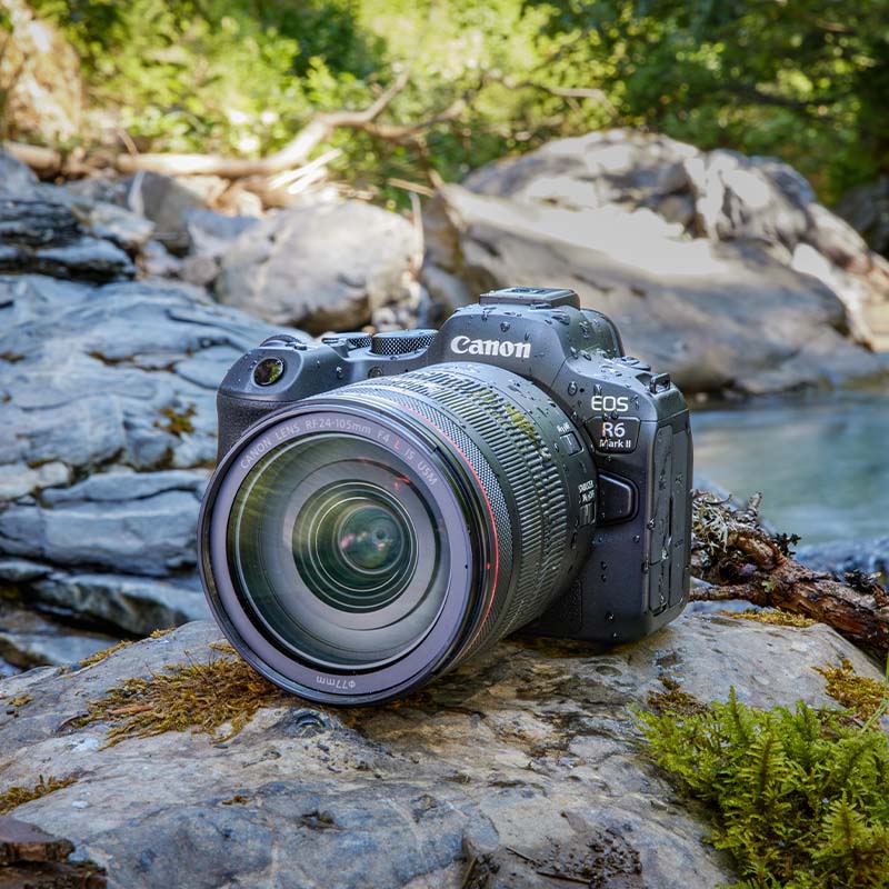 Canon EOS R6 Mark II body + RF 24-105mm f/4L IS USM