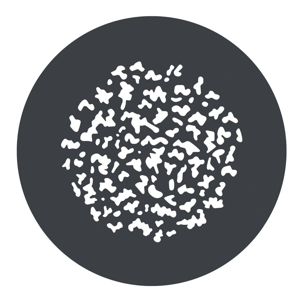 Set GOBO Godox GP-GS2 per MG1200Bi