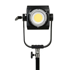 Nanlite Forza 500II LED lamp