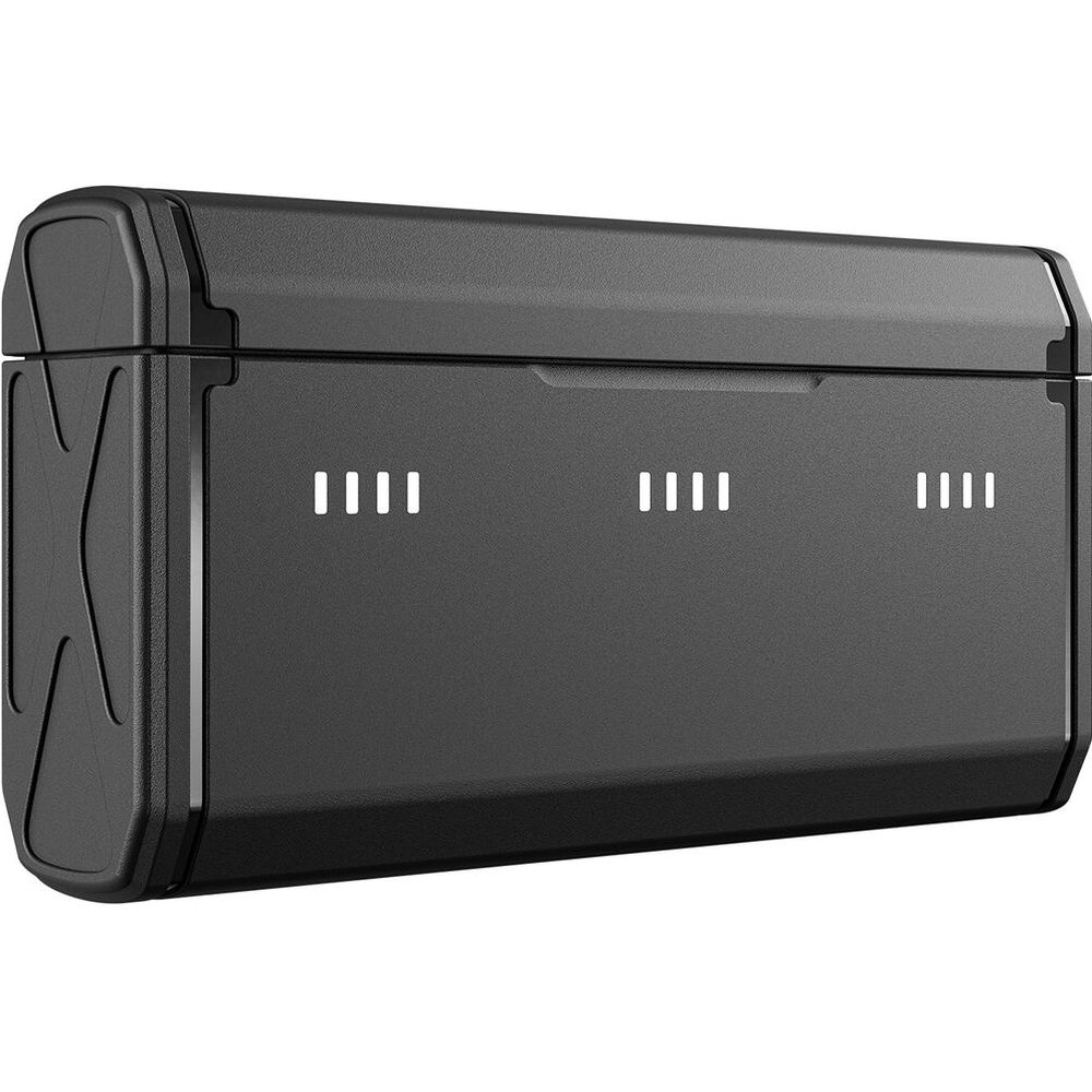 Scatola di ricarica Telesin con 2 batterie Stamina