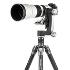 Benro Schommelkop / Testa gimbal con piastra (GH2N)