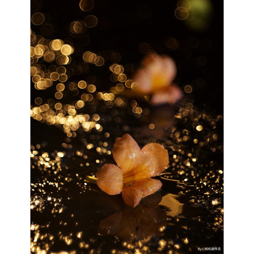 TTArtisan 100mm f/2.8 Bubble Bokeh M42 Black