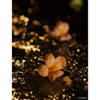 TTArtisan 100mm f/2.8 Bubble Bokeh M42 Black