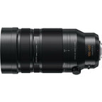Panasonic Lumix DC-G9II + Leica DG Vario-Elmar 100-400mm