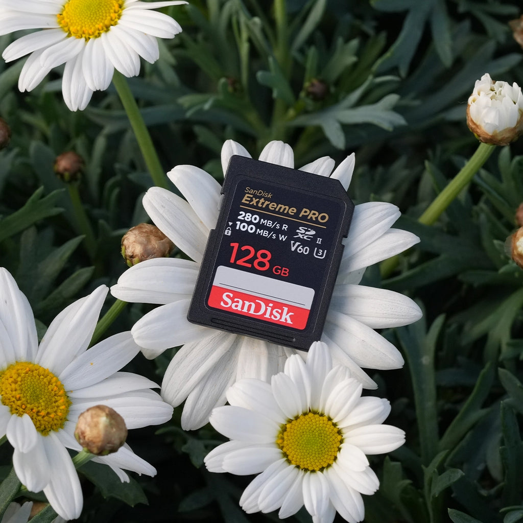 SanDisk Extreme PRO V60 SDXC 128GB UHS-II, Class 10