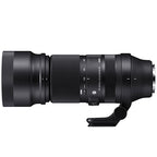Sigma 100-400mm f/5-6.3 DG DN OS Contemporary SONY FE + TS-111 Tripod collar