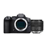 Canon EOS R6 mark II + RF 35mm f/1.8 IS Macro STM
