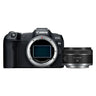 Canon EOS R8 + RF 50mm f/1.8 STM