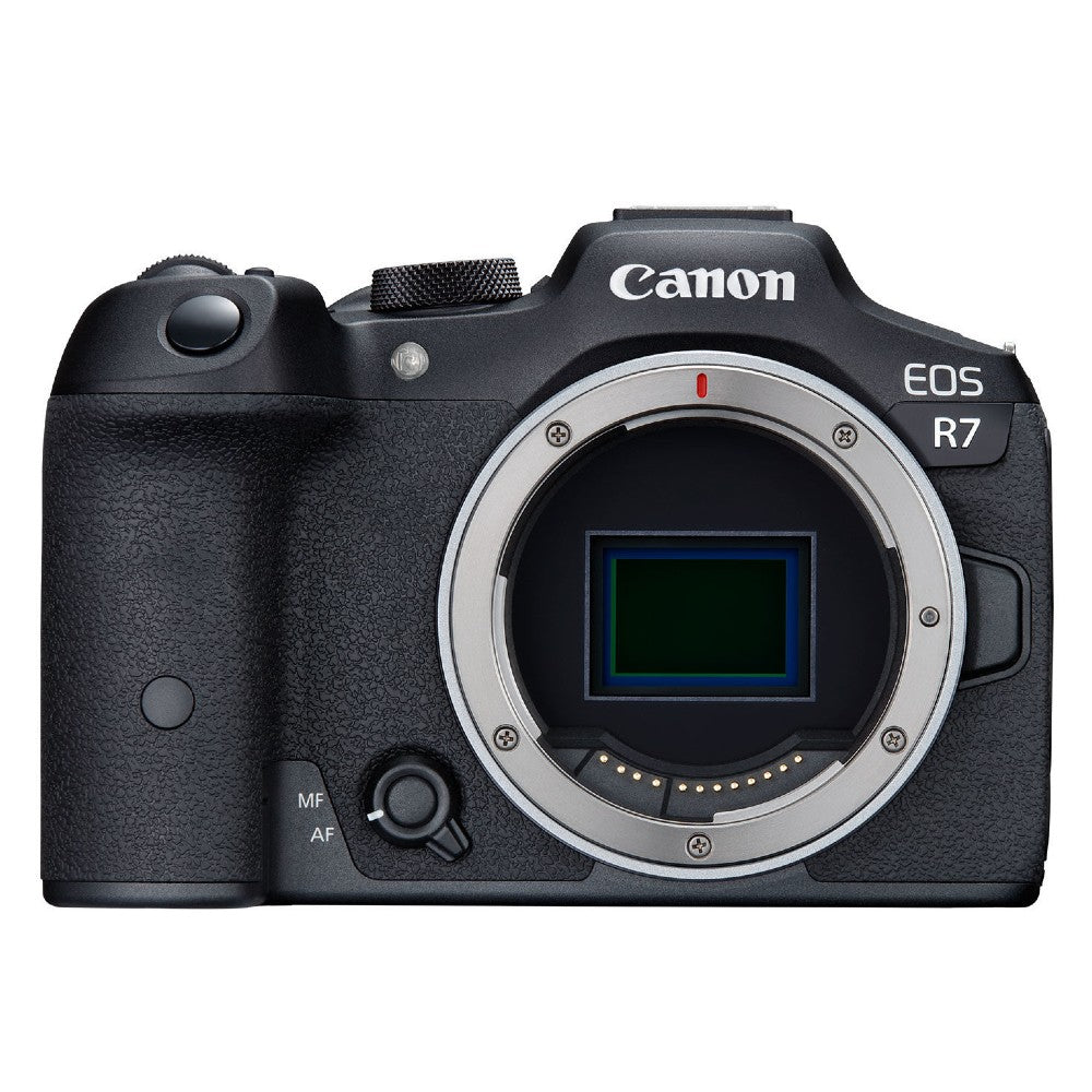 Canon EOS R7 + RF 100-500mm f/4.5-7.1L IS USM