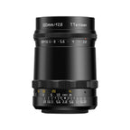 TTArtisan 100mm f/2.8 bokeh a bolle Leica M