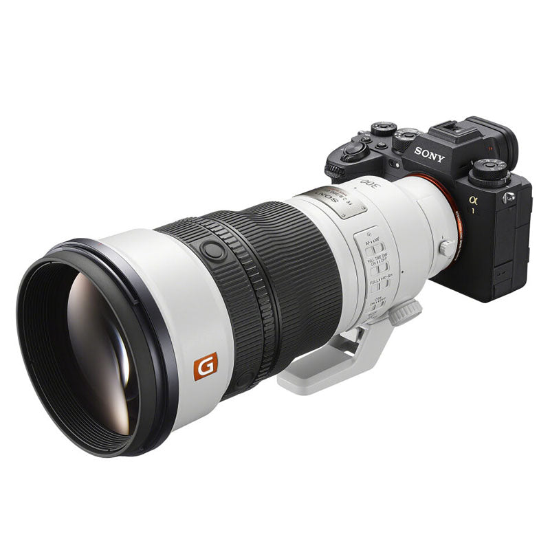 Sony FE 300mm f/2.8 GM OSS + FE 2.0x Teleconvertitore