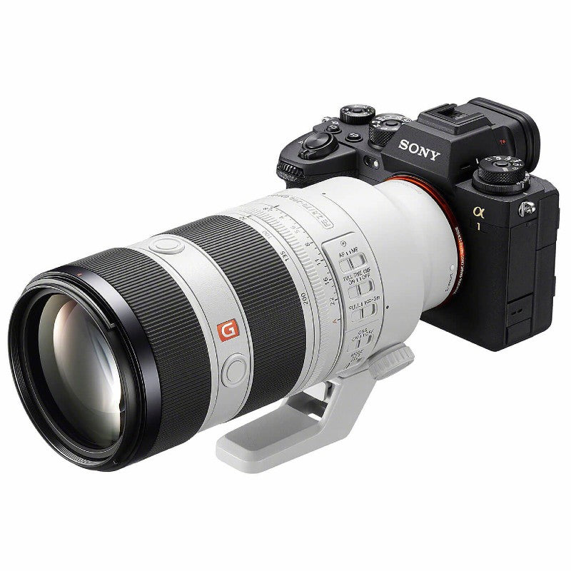 Sony A9 III + 70-200mm f/2.8 GM OSS II